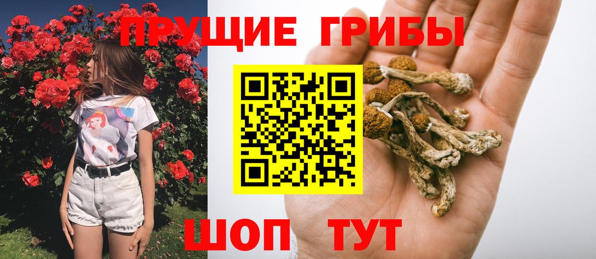 Псилоцибиновые грибы GOLDEN TEACHER Тихвин