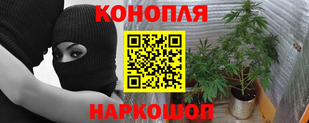 Бошки Шишки план  Вход с VPN  Тихвин  Шишки марихуана конопля  Марихуана конопля 